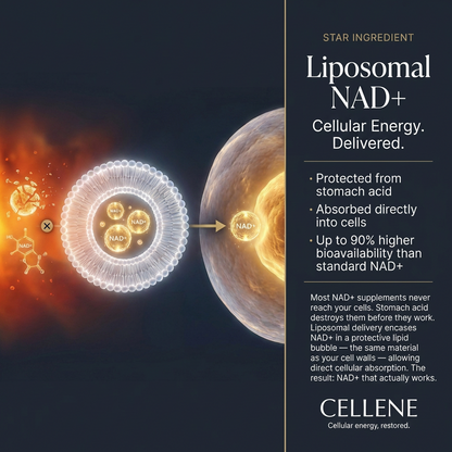 CELLENE NAD+ Women's Complex | Cellular Restoration Formula