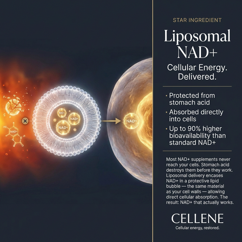 CELLENE NAD+ Women's Complex | Cellular Restoration Formula